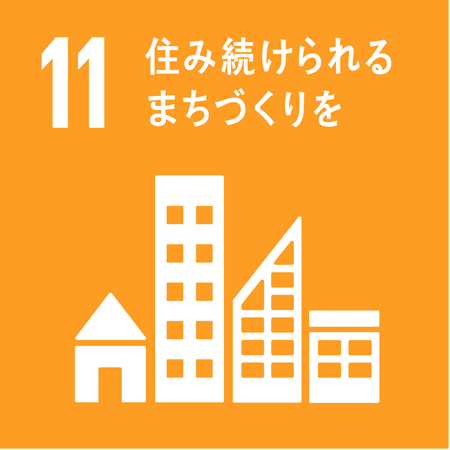 SDGS 11